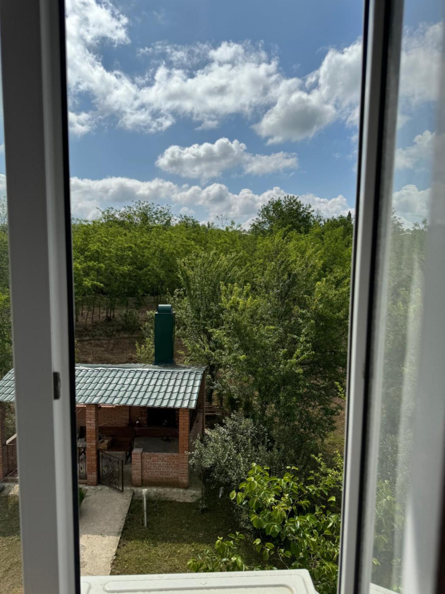 Guesthouse Saniko Martvili Exterior photo
