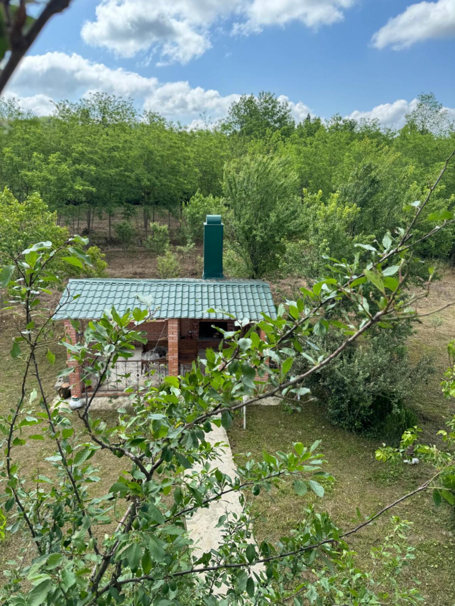 Guesthouse Saniko Martvili Exterior photo