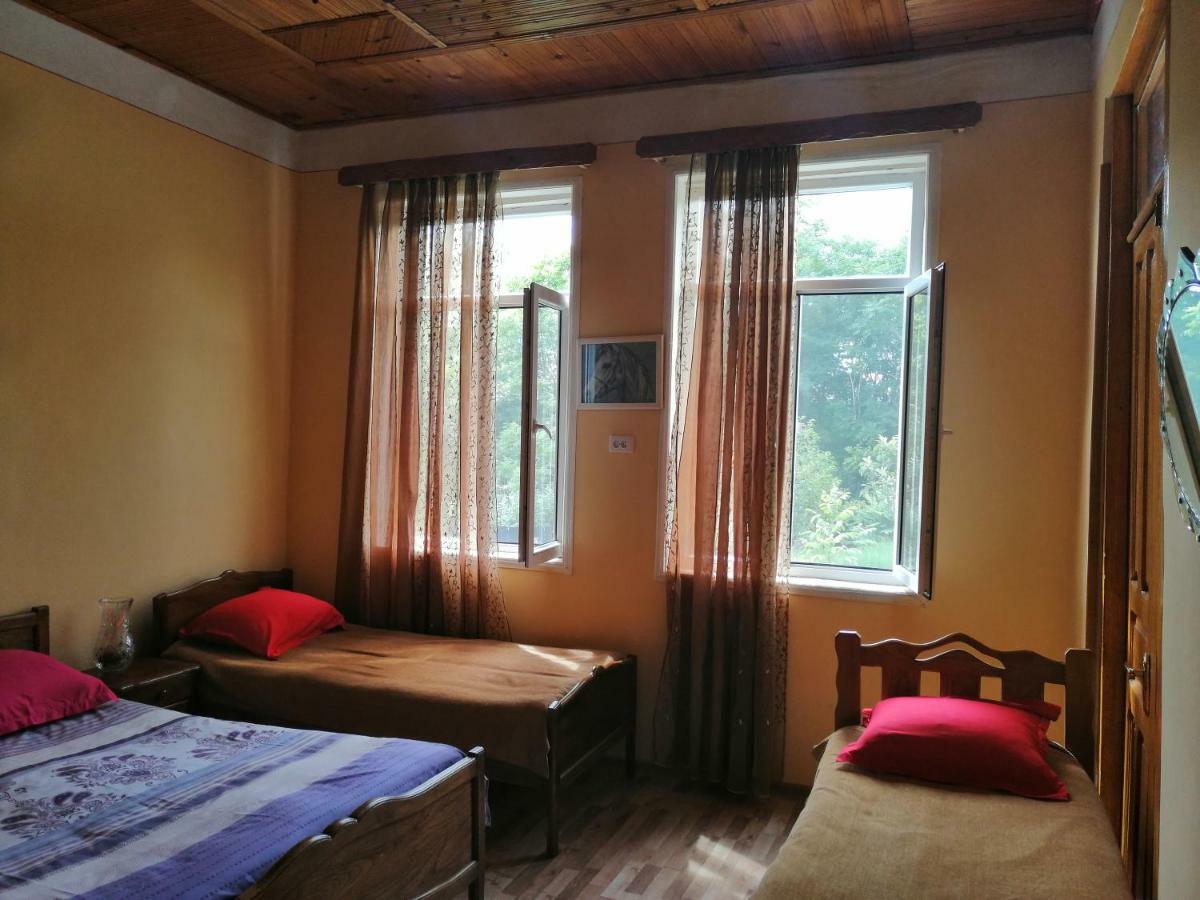 Guesthouse Saniko Martvili Exterior photo